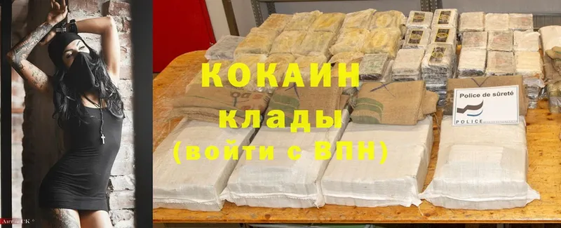 Cocaine Fish Scale  мега вход  Печора 